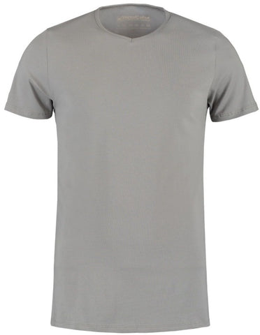 ShirtsofCotton Heren T-shirt Grijs Basic V-hals 2-Pack
